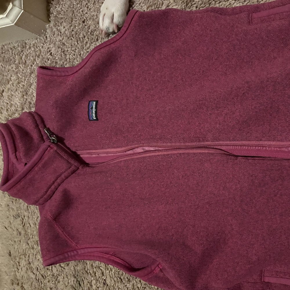 Patagonia Better Sweater Vest - Large